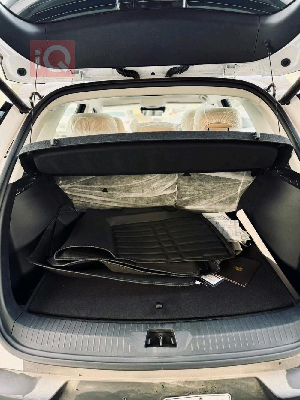 بي واي دي ‎سونغ برو DM-i